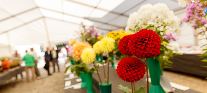 flowershow_flowers