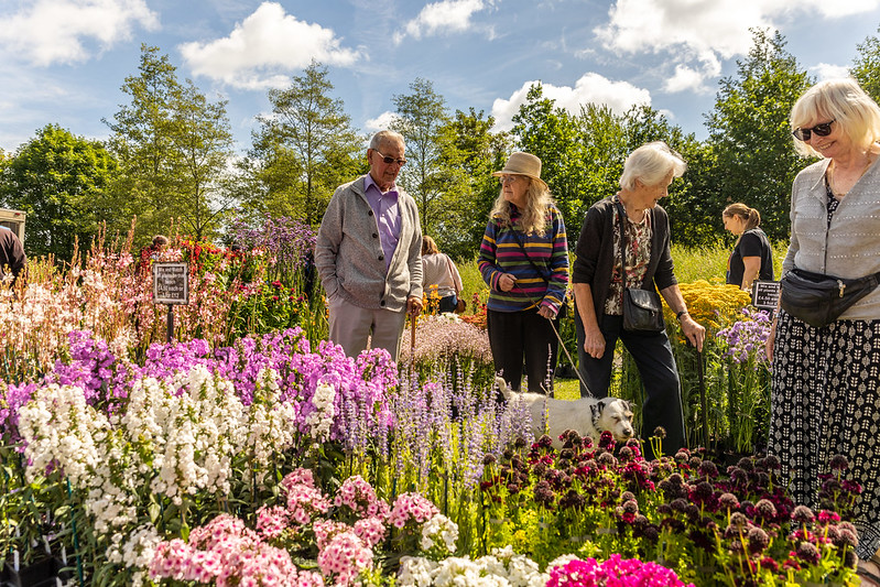 Admiring the flowers at Knowsley Flower show 2022