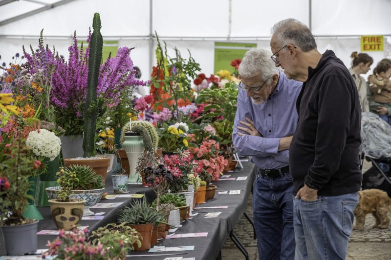 Admiring the flowers at Knowsley Flower show 2022